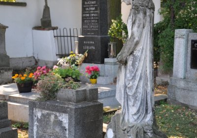 Třebívlice u kostela, Omnium, 2020