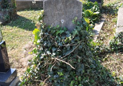 Třebívlice u kostela, Omnium, 2020