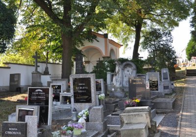 Třebívlice u kostela, Omnium, 2020