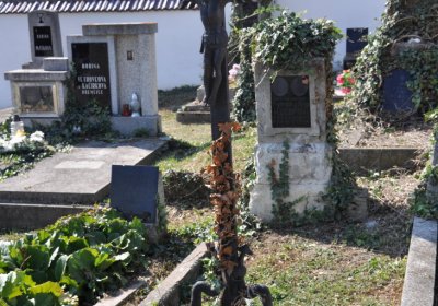 Třebívlice u kostela, Omnium, 2020