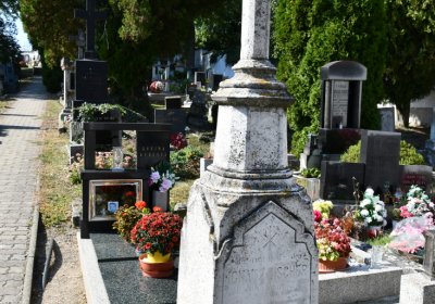 Třebívlice u kostela, Omnium, 2020