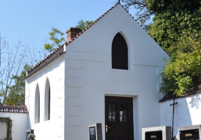 Třebívlice u kostela, Omnium, 2020