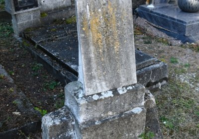 Třebívlice u kostela, Omnium, 2020