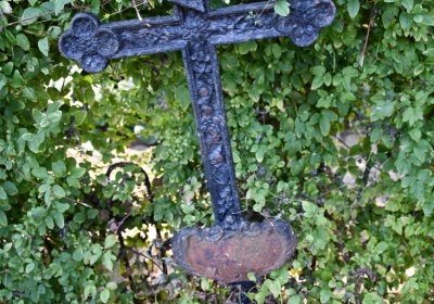 Třebívlice u kostela, Omnium, 2020