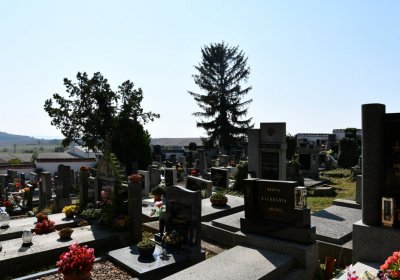 Třebívlice u kostela, Omnium, 2020