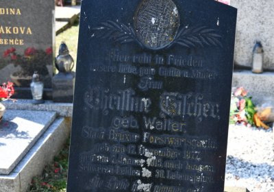 Třebívlice u kostela, Omnium, 2020