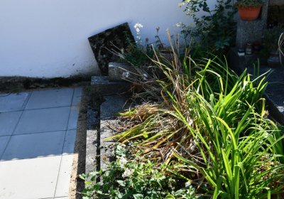 Třebívlice u kostela, Omnium, 2020