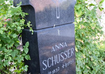 Třebívlice u kostela, Omnium, 2020