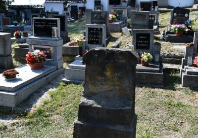 Třebívlice u kostela, Omnium, 2020