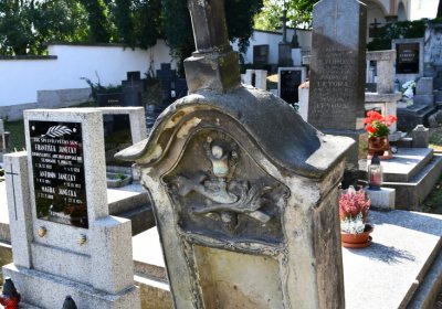 Třebívlice u kostela, Omnium, 2020