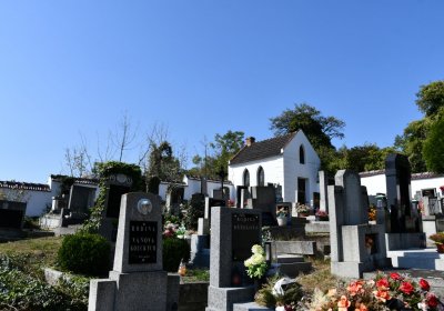 Třebívlice u kostela, Omnium, 2020