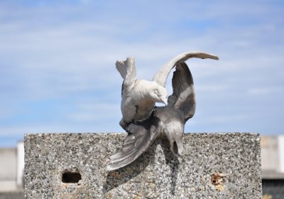 Dobříň, Omnium, 2020