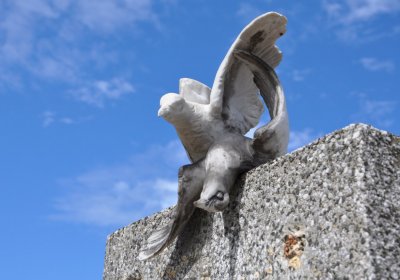 Dobříň, Omnium, 2020