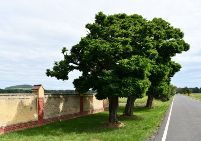 Dobříň, Omnium, 2020