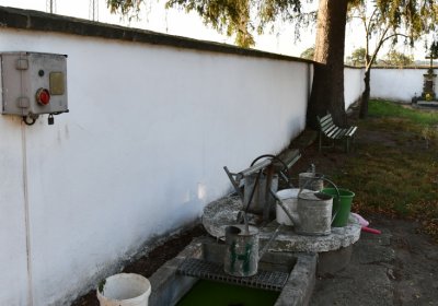 Doksany, Omnium, 2020