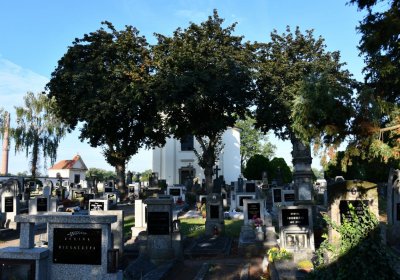 Doksany, Omnium, 2020