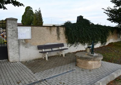 Malešov, Omnium, 2020