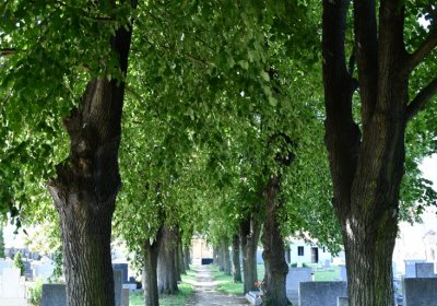 Keblice, Omnium, 2020