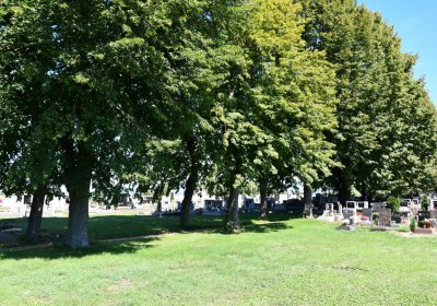 Keblice, Omnium, 2020