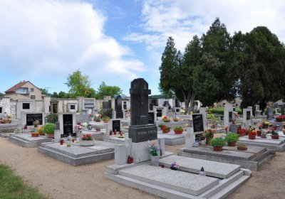 Kostomlaty pod Řípem (obecní), Omnium, 2020