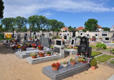 Kostomlaty pod Řípem (obecní), Omnium, 2020