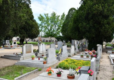 Kostomlaty pod Řípem (obecní), Omnium, 2020