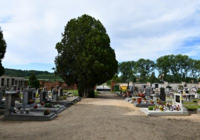 Kostomlaty pod Řípem (obecní), Omnium, 2020