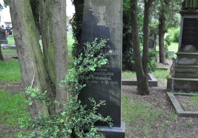 Krabčice, Omnium, 2020