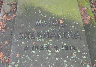 Krabčice, Omnium, 2020