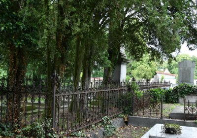 Krabčice, Omnium, 2020