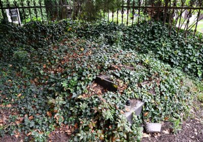 Krabčice, Omnium, 2020