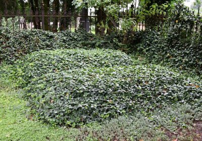 Krabčice, Omnium, 2020