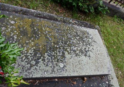 Krabčice, Omnium, 2020