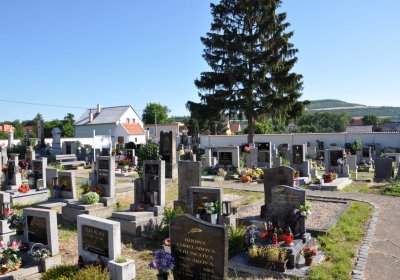 Křešice, Omnium, 2020
