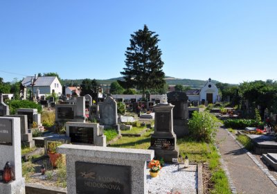 Křešice, Omnium, 2020