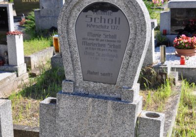 Křešice, Omnium, 2020