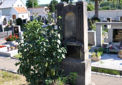 Křešice, Omnium, 2020