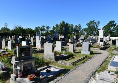 Křešice, Omnium, 2020