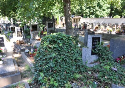 Litoměřice městský, Omnium, 2020