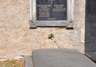 Litoměřice městský, Omnium, 2020