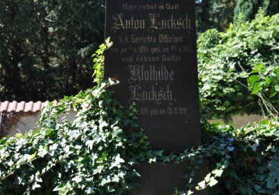 Litoměřice městský, Omnium, 2020
