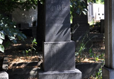 Litoměřice městský, Omnium, 2020
