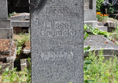 Litoměřice městský, Omnium, 2020