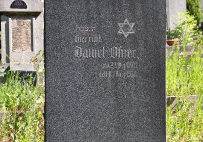 Litoměřice městský, Omnium, 2020