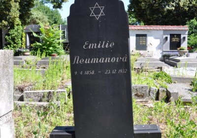 Litoměřice městský, Omnium, 2020
