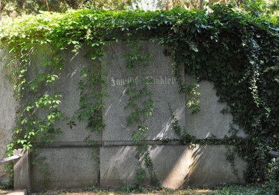 Litoměřice městský, Omnium, 2020