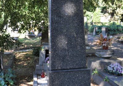 Litoměřice městský, Omnium, 2020