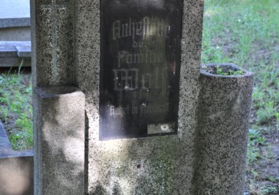 Litoměřice městský, Omnium, 2020