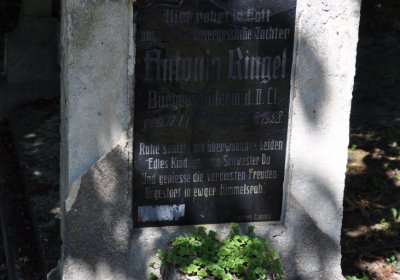 Litoměřice městský, Omnium, 2020