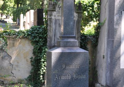 Litoměřice městský, Omnium, 2020